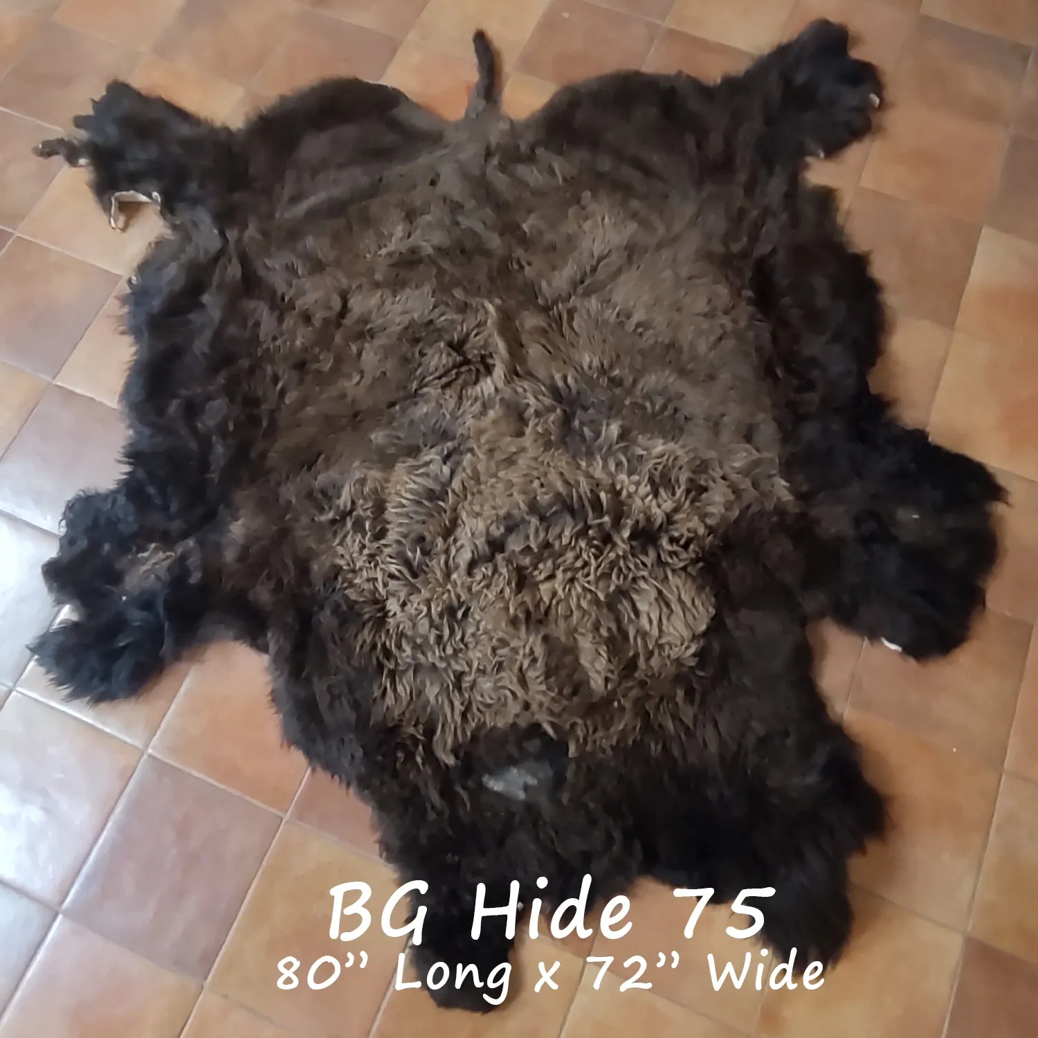 Bison (Buffalo) Hide / Robes