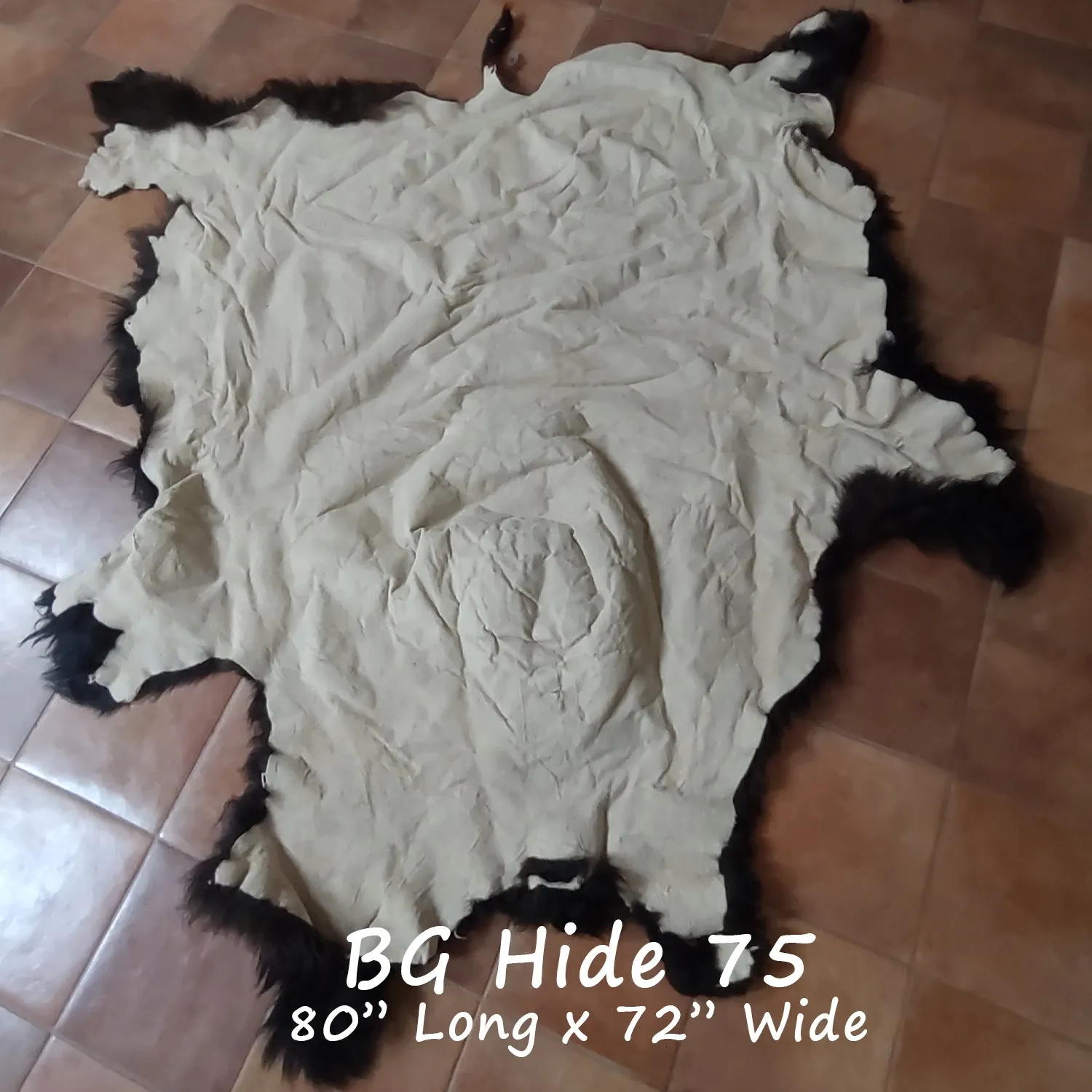 Bison (Buffalo) Hide / Robes