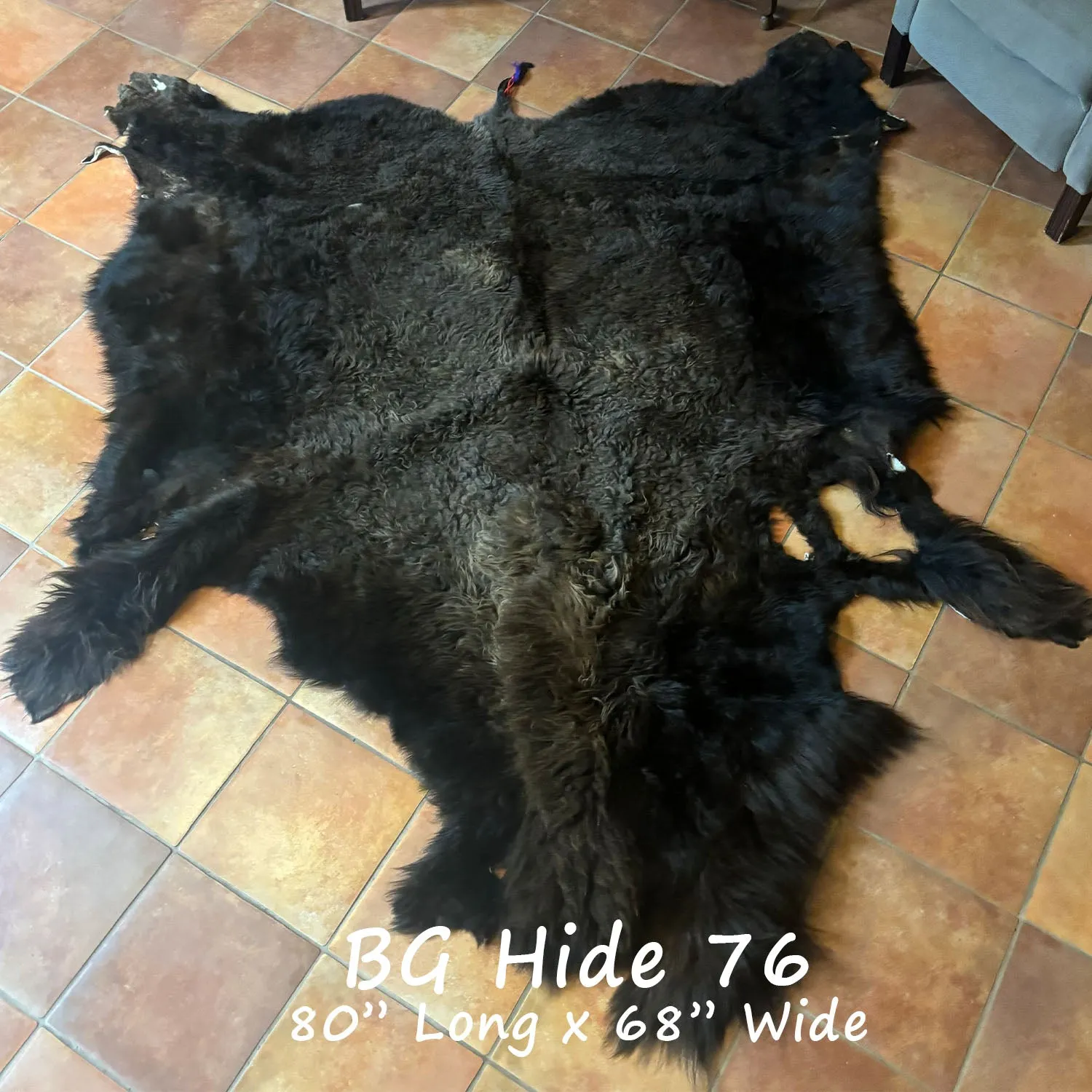 Bison (Buffalo) Hide / Robes