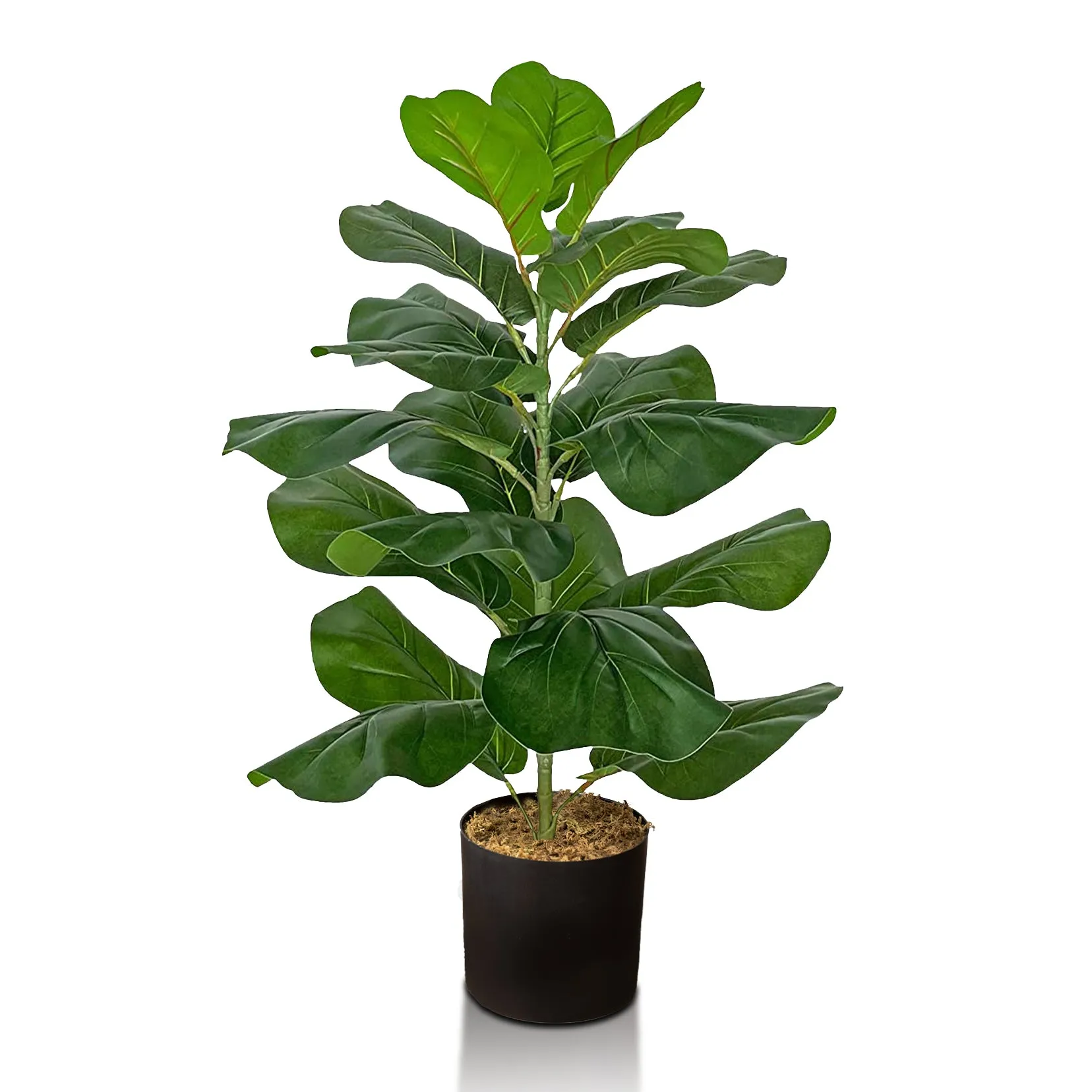 Faux Ficus Lyrata Plant 2.5 Feet