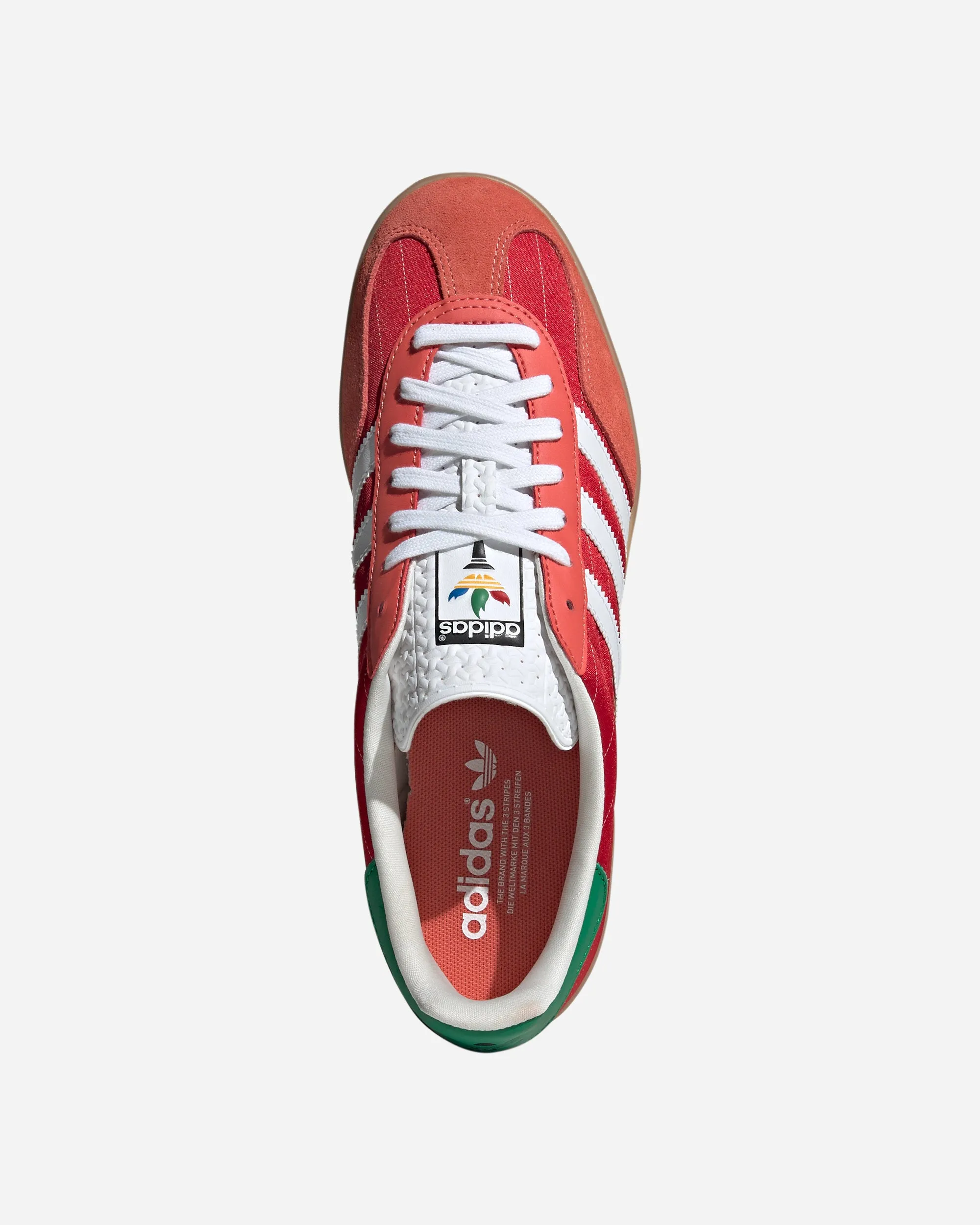 Gazelle Indoor