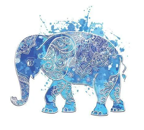 Modern Art Shower Curtain Set - Vibrant Elephant & Elegant African Girl Options