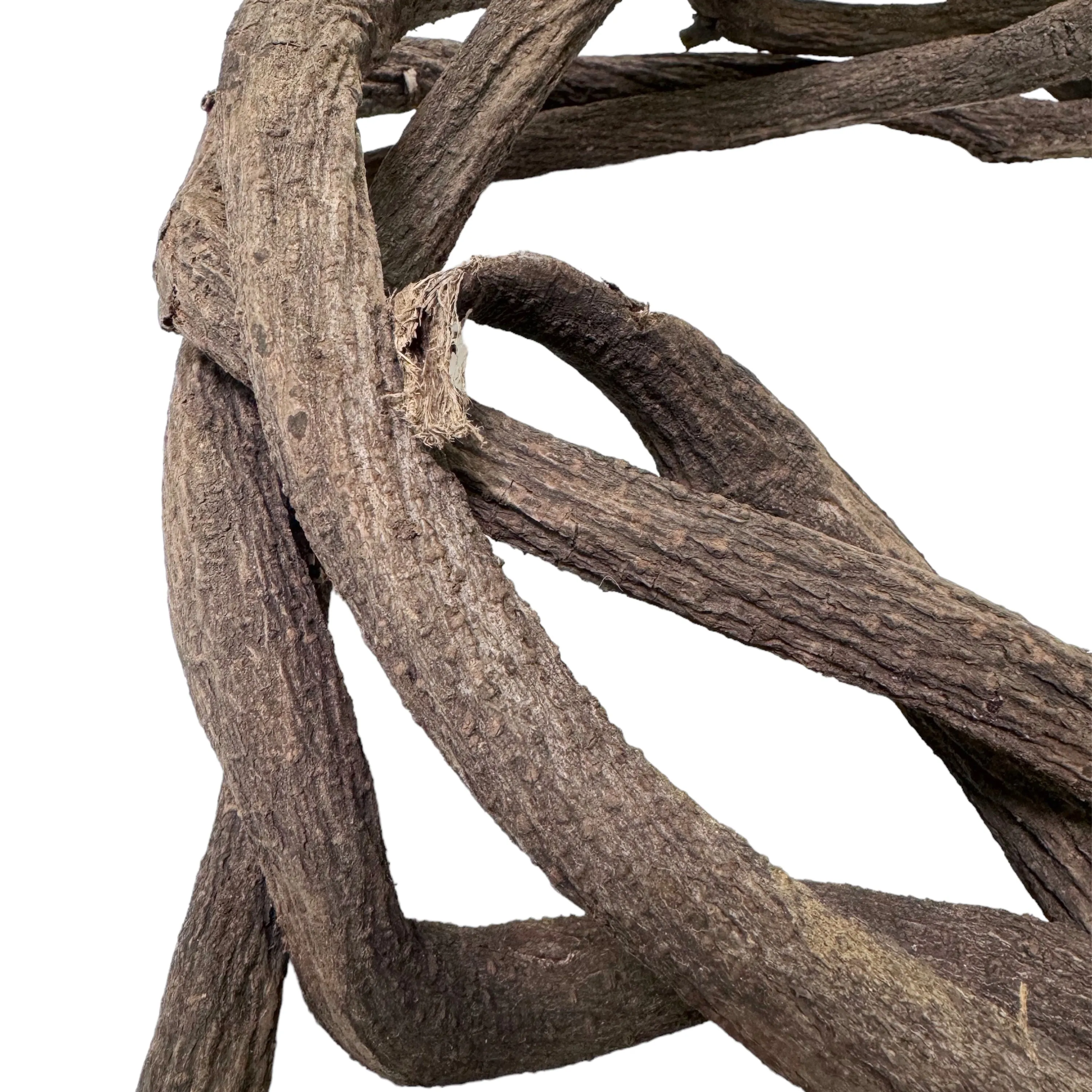 Natural Vine Branches for Rustic Wall Decor